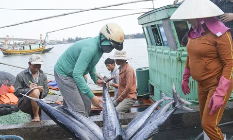Chuyển đổi nghề cho ngư dân cần tạo sự đồng thuận với mục tiêu tạo việc làm, có thu nhập bền vững