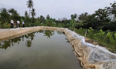 Bến Tre thực hiện phong trào “Đồng khởi” trữ nước ngọt chống xâm nhập mặn, phục vụ sản xuất đời sống người dân