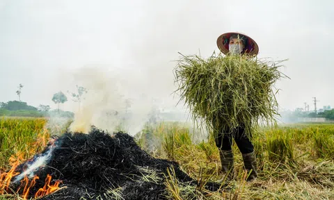 Thủ đô quyết tâm xóa bếp than tổ ong, đốt rơm rạ và thu hút các dự án xử lý rác thải công nghệ cao