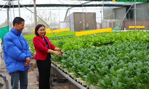 Hoài Đức: Bước chuyển mình mạnh mẽ từ nông nghiệp truyền thống sang nông nghiệp công nghệ cao gắn với xây dựng đô thị