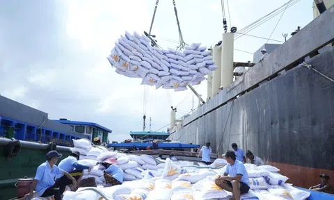 Liên tiếp lập kỷ lục, xuất khẩu gạo Việt Nam kỳ vọng bứt phá trong năm 2025 với những cơ hội và cả thách thức