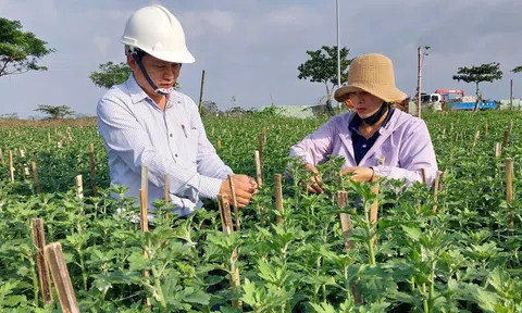 Nông dân sản xuất kinh doanh giỏi là nhân tố quan trọng giúp ngành nông nghiệp tăng trưởng ổn định