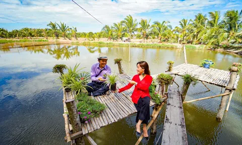 Cồn Chim nhận giải thưởng du lịch cộng đồng ASEAN tạo lợi thế phát triển du lịch bền vững