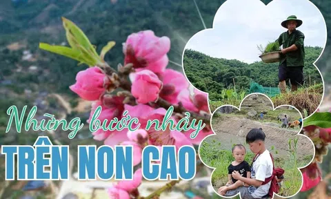 Những bước nhảy trên non cao