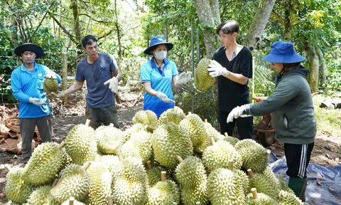 Xuất khẩu năm 2025 phấn đấu tăng trên 10% - 12% với trọng trách giữ vai trò chủ đạo từ nông nghiệp