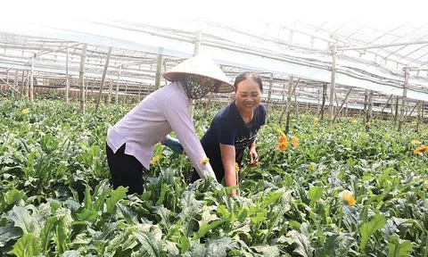 Ngành Nông nghiệp phải tăng tốc, đột phá hơn nữa trong kỷ nguyên vươn mình của dân tộc