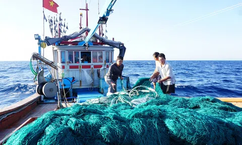 Quyết tâm thực hiện mục tiêu gỡ cảnh báo "Thẻ vàng" hướng tới xây dựng ngành thủy sản bền vững