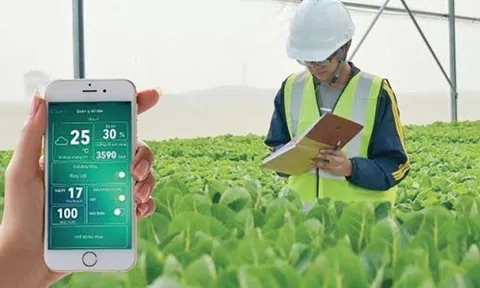 Nông nghiệp chuyển mình đột phá cần đắp bồi những doanh nhân nông nghiệp