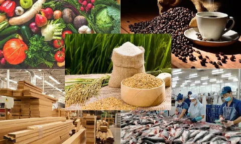Xuất khẩu nông lâm thủy sản tận dụng lợi thế kỳ vọng bứt phá những kỷ lục mới