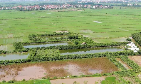 Bộ Tài chính đề xuất miễn tiền thuê đất lên tới 15 năm cho dự án đầu tư nông nghiệp