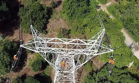 Thủ tướng Chính phủ phê duyệt chủ trương đầu tư dự án truyền tải điện hơn 650 tỷ đồng