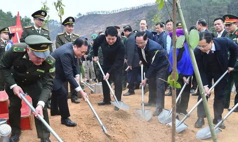 Chủ tịch nước: Mỗi cây xanh được trồng chính là một hành động yêu thương gửi gắm đến thiên nhiên