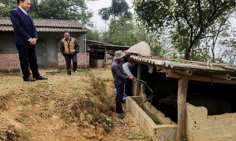 Nông dân vùng cao Lào Cai chủ động bảo vệ cây trồng, vật nuôi trong đợt rét đậm, rét hại