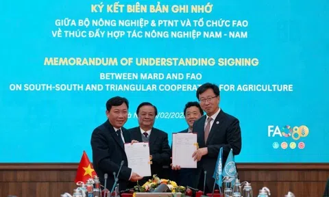 FAO: Hỗ trợ tài chính quốc tế cho ngành Nông nghiệp Việt Nam là rất cần thiết