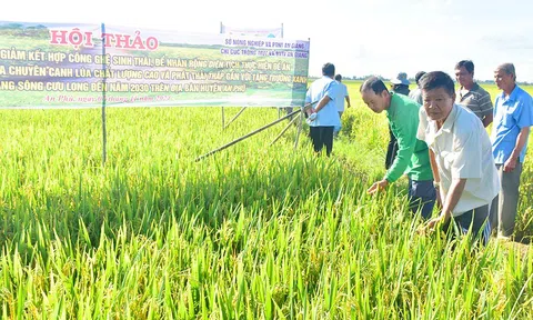 An Giang đẩy mạnh phát triển nông nghiệp bền vững khẳng định vai trò trụ đỡ của nền kinh tế