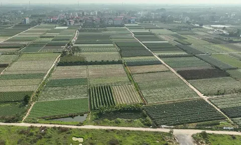 Giá đất nông nghiệp tăng cao kỳ vọng sẽ kích thích sự chuyển dịch đất nông nghiệp