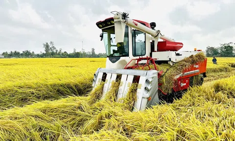 Giải pháp thu hút đầu tư và ứng dụng công nghệ chuyển đổi số, chuyển đổi xanh vào sản xuất lúa gạo