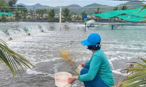 Để ngành tôm bứt phá và phát triển bền vững cần nhân rộng các mô hình tuần hoàn, kinh tế xanh