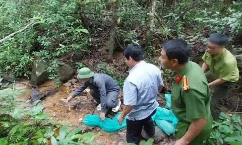 Bảo vệ, bảo tồn động vật hoang dã quý, hiếm, nguy cấp, cần gắn với khai thác bền vững tài nguyên đa dạng sinh học