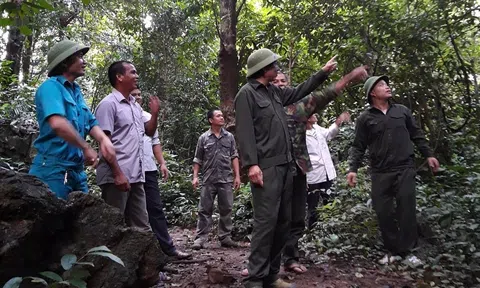 Lạng Sơn tiên phong trong phát triển kinh tế xanh, nỗ lực kiến tạo một tương lai bền vững