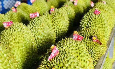 Trung Quốc siết chặt kiểm soát chất lượng, xuất khẩu sầu riêng các cửa khẩu tại Lạng Sơn giảm mạnh