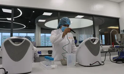 Nâng cao năng suất quốc gia tạo sức bật khai phá những nguồn lực của đất nước trong kỷ nguyên mới