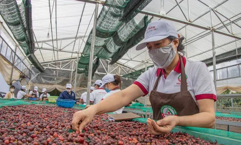 Doanh nghiệp của Việt Nam phản ứng nhanh nhạy, giữ nhịp tăng trưởng trước biến động của thương mại toàn cầu