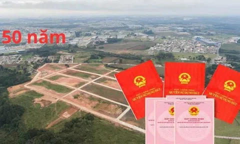 Đất giao, cho thuê 50 năm có thể bị thu hồi theo quy định của Luật Đất đai 2024