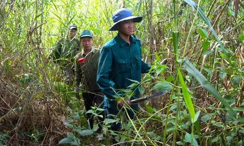 Bảo vệ khoảng 45.000ha rừng mùa khô, Cà Mau đóng kín cửa rừng, trữ nước, tạo đường băng xanh để phòng cháy