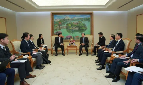 Đề nghị Nhật Bản hỗ trợ Việt Nam thực hiện các mục tiêu về giảm phát thải khí nhà kính, ứng phó biến đổi khí hậu