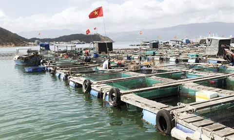 Từ ngày 25/2/2025, thủy sản bị thiệt hại do thiên tai được hỗ trợ tối đa 60 triệu đồng mỗi ha