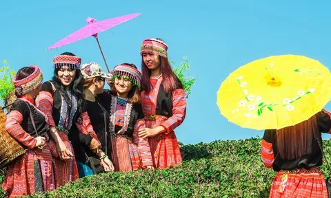 Việt Nam không ngừng nỗ lực để thúc đẩy thực hiện các Mục tiêu phát triển bền vững