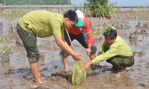 Việt Nam cam kết đẩy mạnh thực hiện tất cả các Mục tiêu phát triển bền vững, ứng phó với Biến đổi Khí hậu
