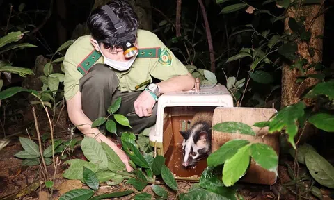 Bảo vệ động vật hoang dã: Cần hành động khẩn cấp với sự chung tay của toàn thế giới vì hành tinh xanh