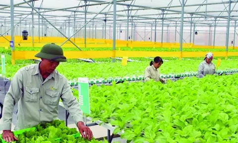 Nông nghiệp Việt Nam chuyển đổi xanh để đón thời cơ và vận hội mới thực hiện những mục tiêu bền vững