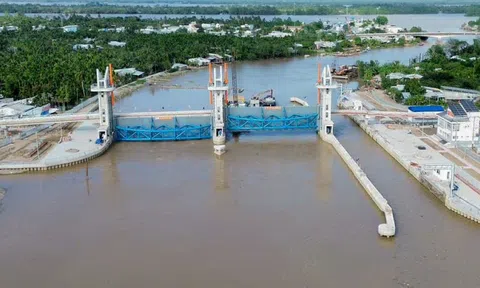 Công trình kiểm soát mặn phát huy vai trò hỗ trợ sản xuất nông nghiệp Đồng bằng sông Cửu Long