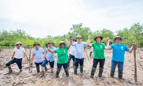 UNDP sẽ sát cánh cùng Việt Nam mở rộng hợp tác các lĩnh vực nông nghiệp và môi trường
