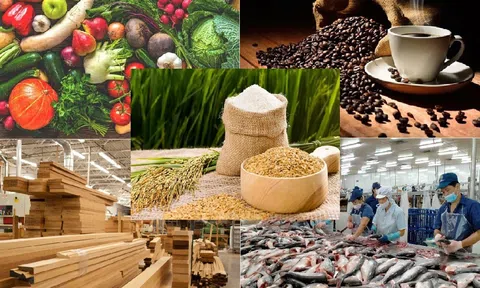 Xuất khẩu nông lâm thủy sản bứt tốc trong 2 tháng đầu năm nhờ những nông sản chủ lực