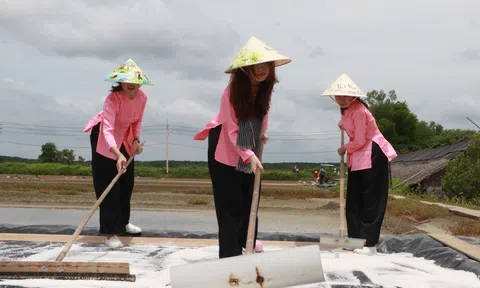 Nâng cao sản lượng, chất lượng nâng tầm vị thế nghề muối theo hướng phát triển đa giá trị