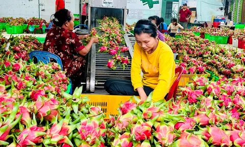 Khoa học công nghệ tạo xung lực ngành nông nghiệp bứt tốc theo hướng xanh và bền vững