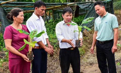 Khuyến nông đổi mới từ ứng dụng công nghệ thông tin và chuyển đổi số để phục vụ nông dân hiệu quả hơn