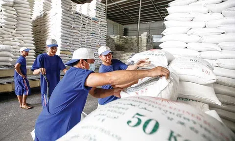 Giá gạo xuất khẩu tăng nhẹ nhưng chưa thể lạc quan do giao dịch trầm lắng