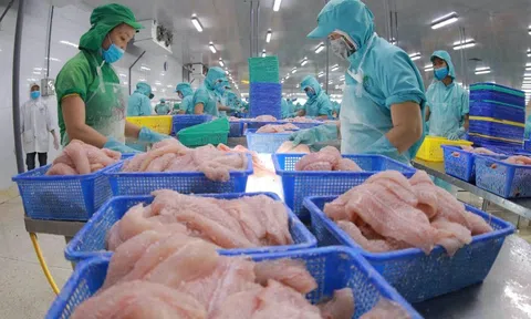 Hoa Kỳ mong muốn tăng cường hợp tác với Việt Nam thúc đẩy phát triển nông nghiệp, chống đánh bắt IUU