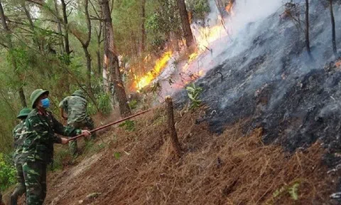 Cục Lâm nghiệp và Kiểm Lâm cảnh báo nguy cơ cháy rừng cấp cực kỳ nguy hiểm tại nhiều khu vực cả nước