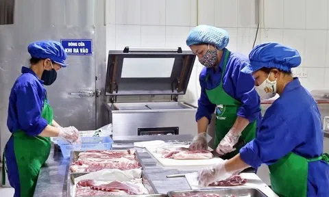 Hợp tác giải quyết vấn đề then chốt trong an toàn thực phẩm cho truy xuất nguồn gốc trên nền tảng số