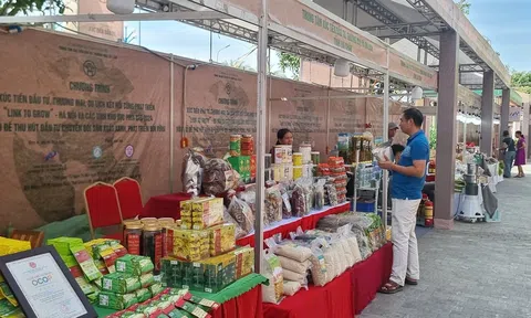 Đẩy mạnh hoạt động kích cầu tiêu dùng, quyết tâm đưa tổng mức bán lẻ hàng hóa và dịch vụ đạt khoảng 12% năm 2025