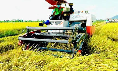 Khẳng định vị trí hạt gạo Việt Nam trong kỷ nguyên mới cần tích hợp công nghệ và thúc đẩy tăng trưởng xanh