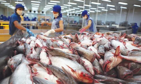 Vasep gửi kiến nghị 'khẩn', đề xuất sớm có phương án đàm phán với Chính phủ Mỹ xem xét mức thuế phù hợp