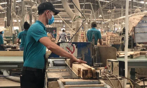 Thúc đẩy hoạt động xuất khẩu của ngành gỗ Việt Nam, doanh nghiệp kỳ vọng khởi sắc từ thị trường Mỹ