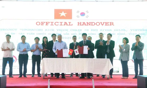 Cải tiến chuỗi giá trị lúa gạo: Hiện thực lộ trình phát triển lúa gạo bền vững và giảm phát thải